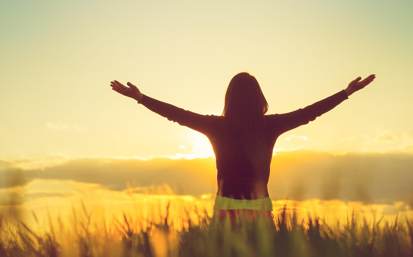 Image of a woman standing in a field at sunset holding her arms up feeling free. Break free from the trauma you struggle with by finding support with EMDR therapy in Raleigh, NC.