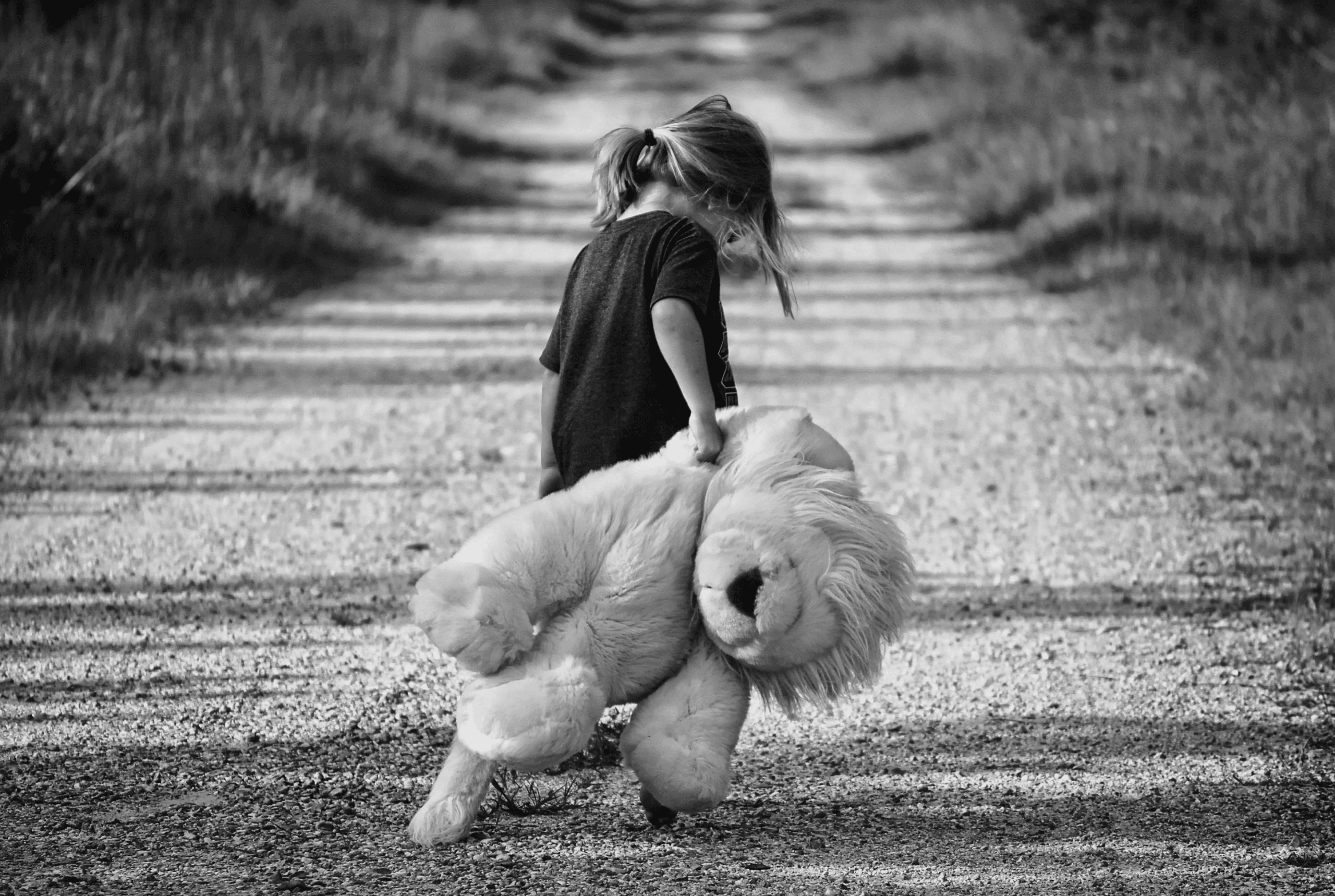 pexels-pixabay-48794-2 sad child with teddy bear. If you are struggling to cope with a single traumatic event, find support healing with EMDR therapy in Wake Forest, NC.